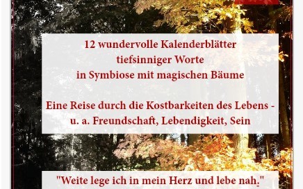 Literaturkalender Licht und Schatten erleben